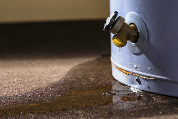Best Basement water damage restoration  in Northwest Ithaca, NY
