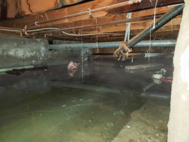 Best Local water damage restoration  in Northwest Ithaca, NY