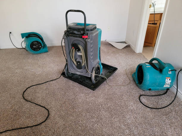 Best Fire Damage Restoration  in Northwest Ithaca, NY