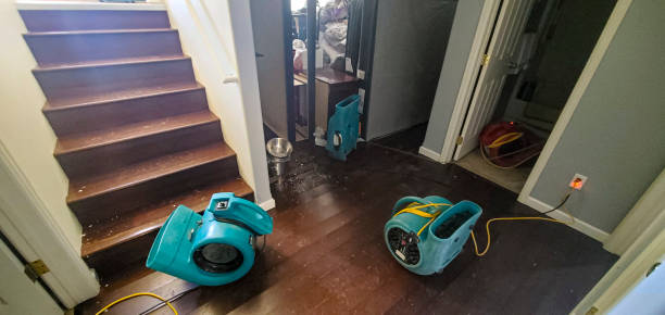 Best 24-hour water damage restoration  in Northwest Ithaca, NY