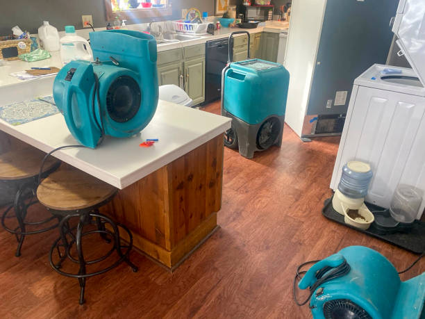 Best Flooded house restoration  in Northwest Ithaca, NY