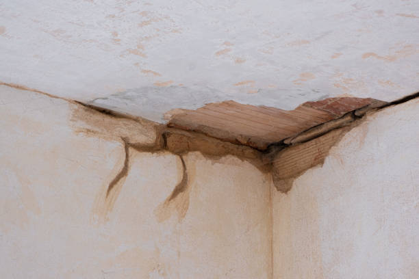 Best Ceiling water damage repair  in Northwest Ithaca, NY