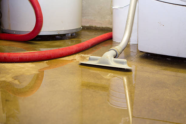 Best Flood damage cleanup  in Northwest Ithaca, NY