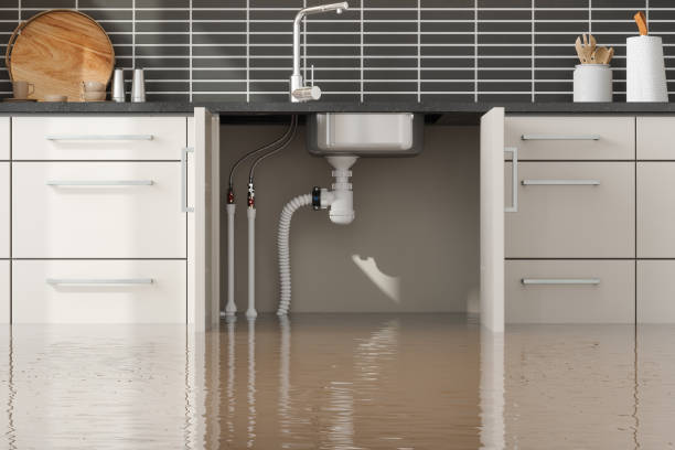 Best Flood restoration services  in Northwest Ithaca, NY