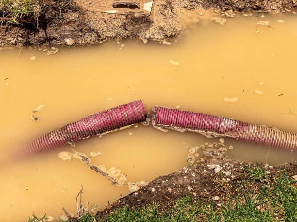 Best Water damage restoration near me  in Northwest Ithaca, NY
