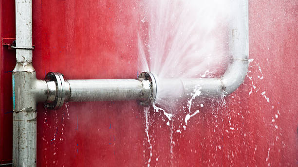 Best Mold removal after water damage  in Northwest Ithaca, NY